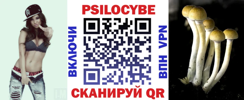 Псилоцибиновые грибы мицелий  цена   Лысково 
